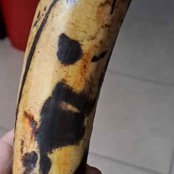 Imagen de reflexión filosófica